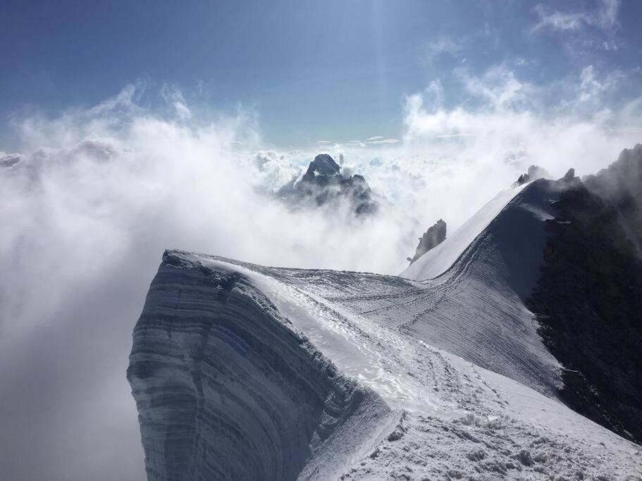 Chalet L'Ilet Ensoleille /Sunny Island Chalet Chamonix Bagian luar foto